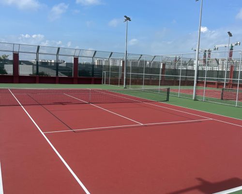 pickleball pickleball