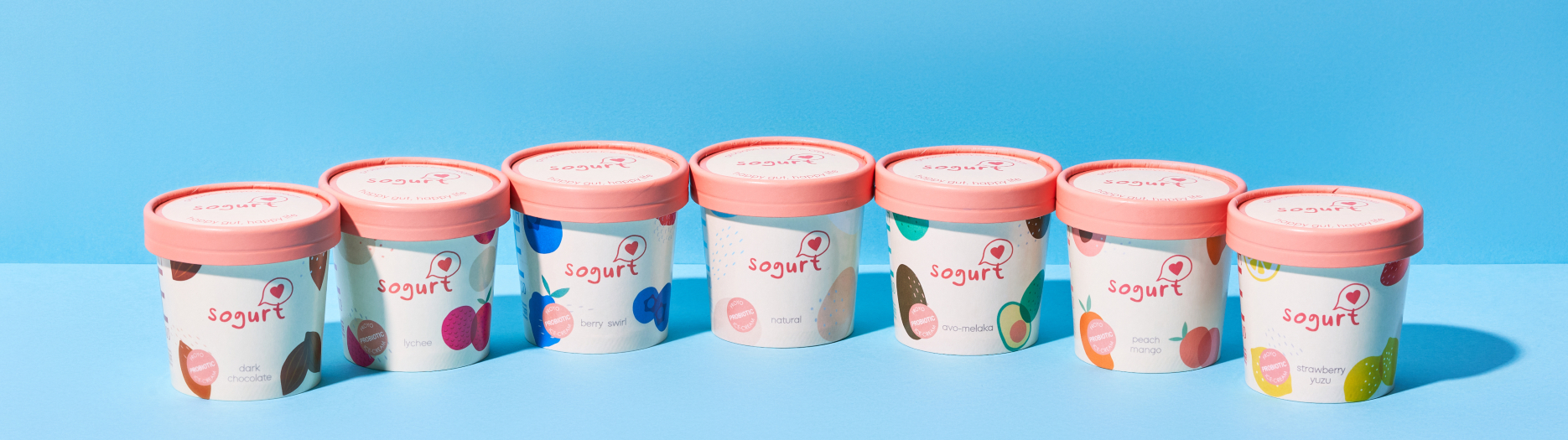 Sogurt Web Banner1870 x 525