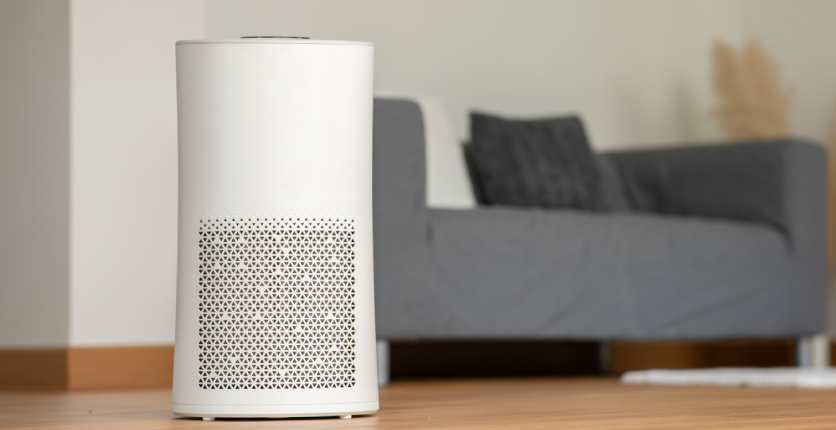 Air purifier at home