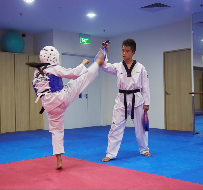 Taekwondonomics 660x620