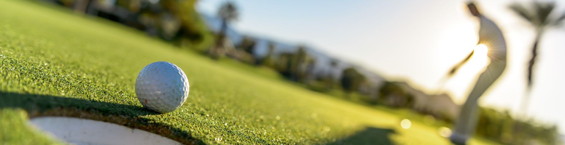 SGS (1900 x 490 px)
